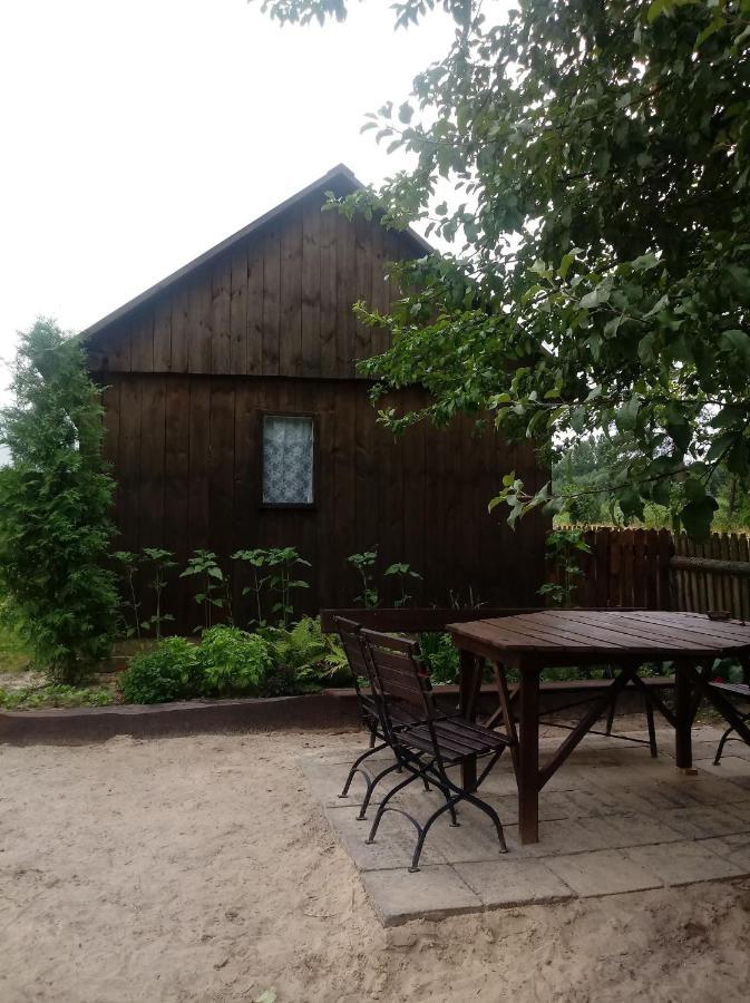 Villa Skibowka à Susiec Extérieur photo